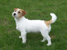 Frühlingsbilder von Yvette